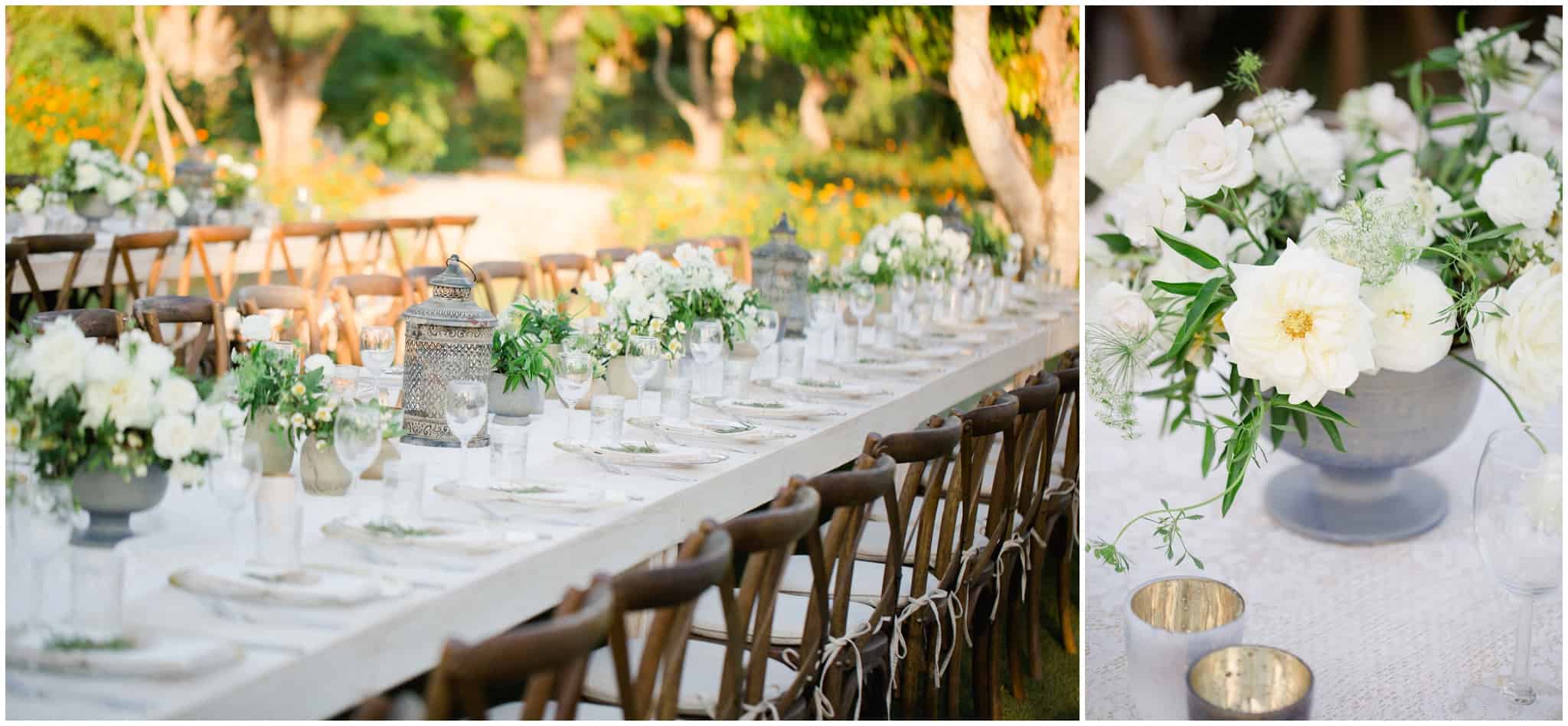 Cabo Photographer - Sara Richardson_3079